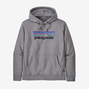 P-6 Logo Uprisal Hoody sz Large